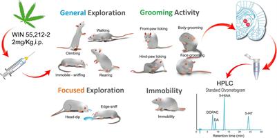 Cannabinoid 1/2 Receptor Activation Induces Strain-Dependent Behavioral and Neurochemical Changes in Genetic Absence Epilepsy Rats From Strasbourg and Non-epileptic Control Rats